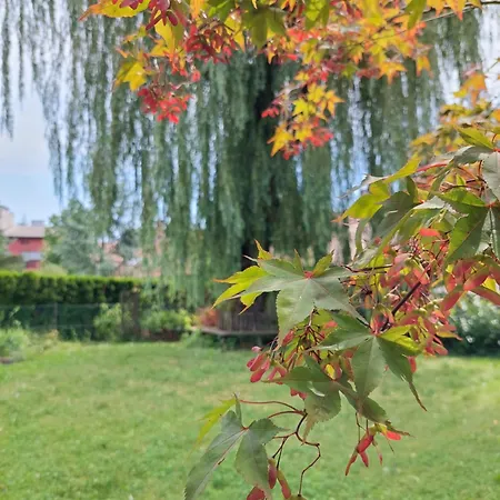 R24 - Rose House Ljubljana